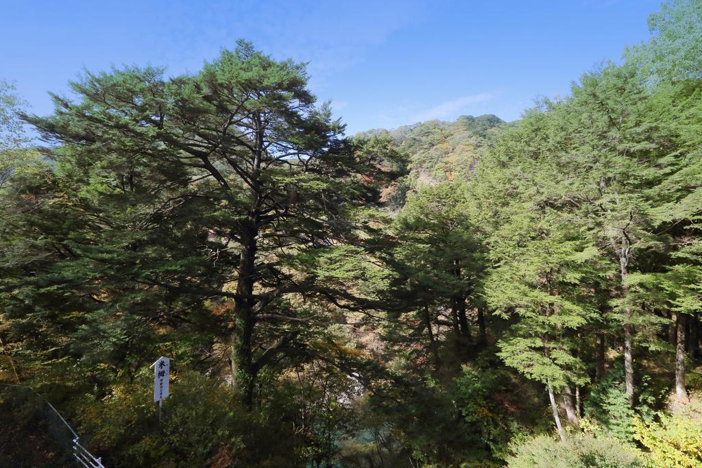 Hotel Tsuganoki Nikko Zewnętrze zdjęcie