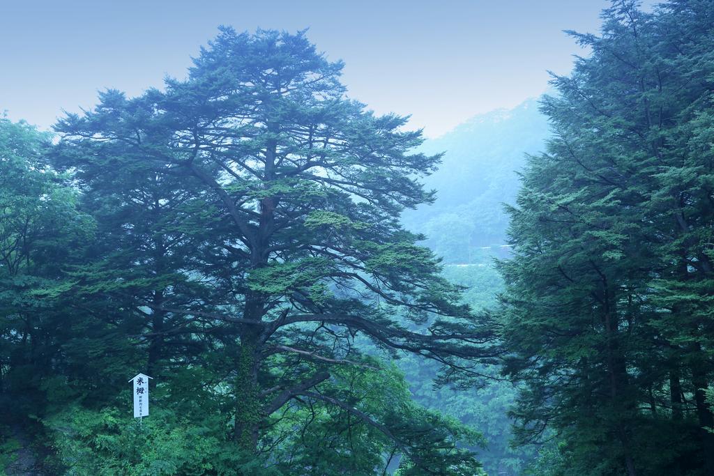 Hotel Tsuganoki Nikko Zewnętrze zdjęcie